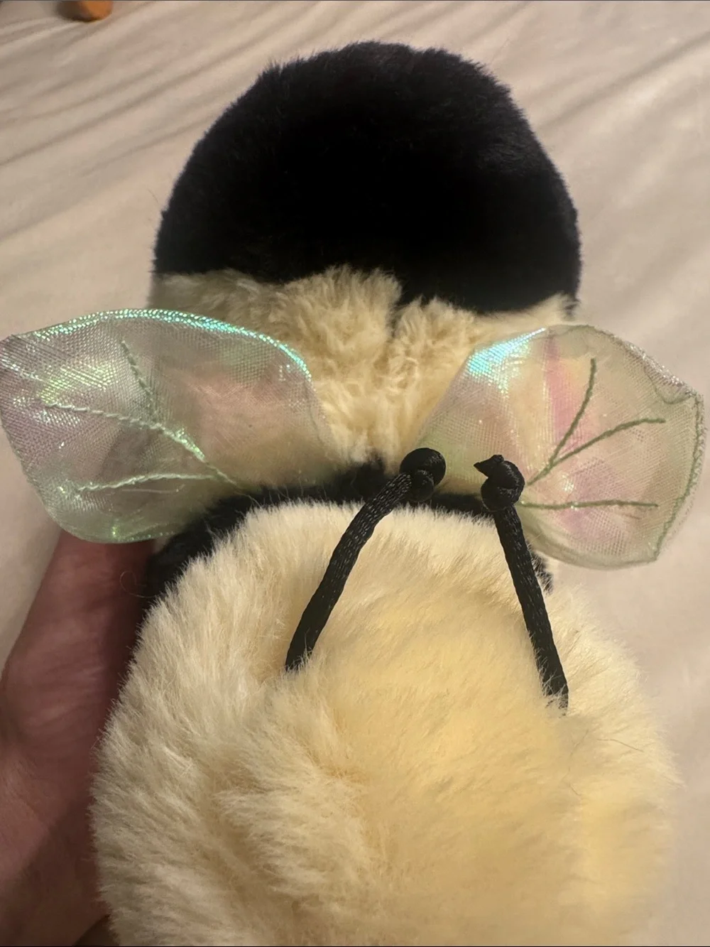 Douglas Chive Bee